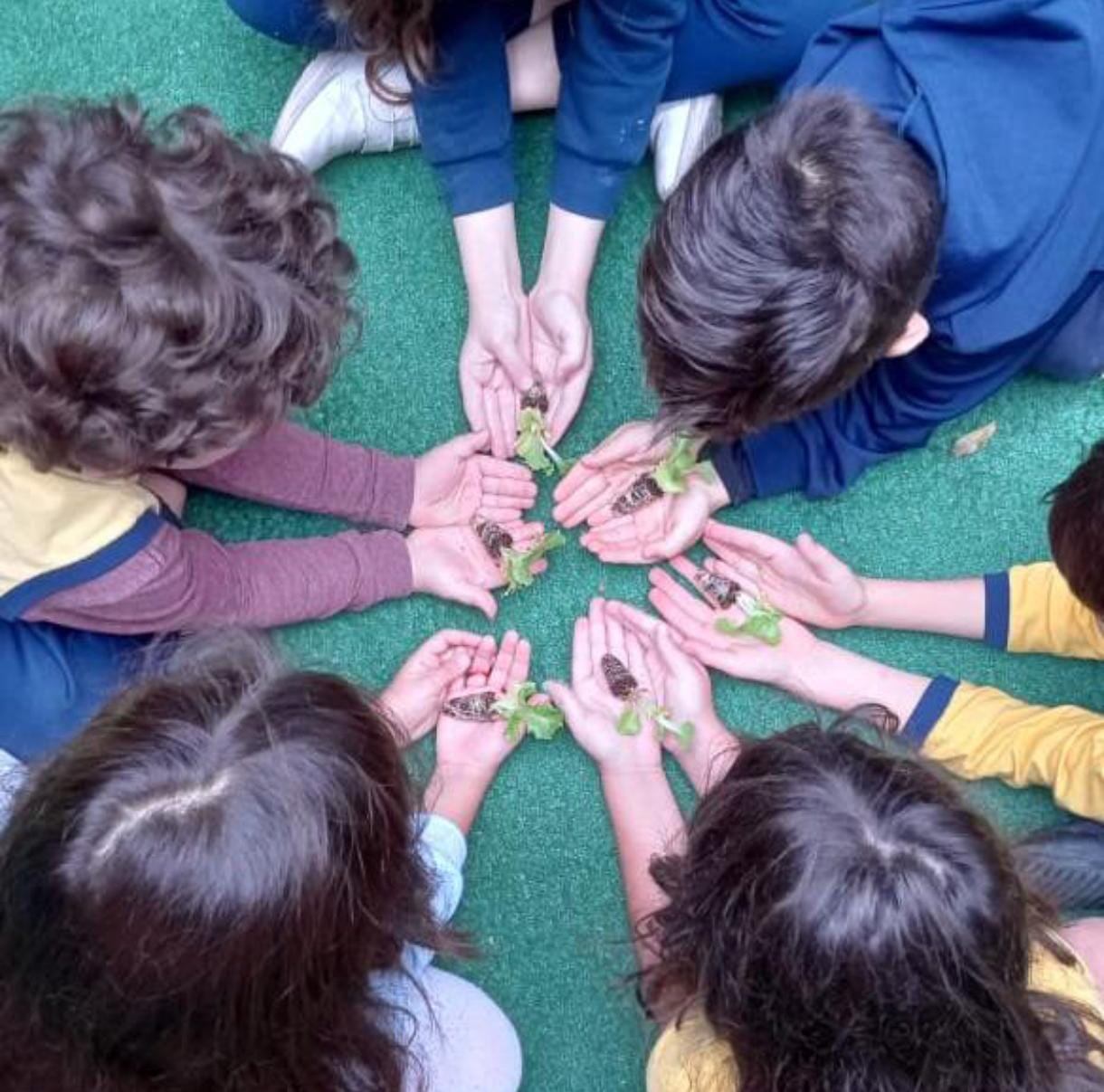Crianças na escola